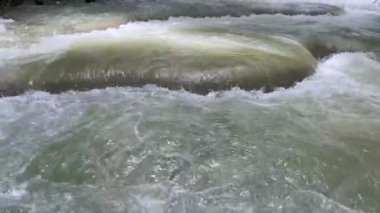 Güçlü tropikal şelale yemyeşil ormanda akıyor, köpüklü beyaz su kayaların üzerinde çağlıyor. Parlak doğal manzara bozulmamış doğanın saf güzelliğini ve enerjisini gösteriyor.