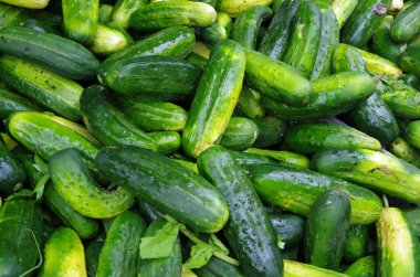 Yeşil çiftçi pazar görüntülenmek üzere kazıklı salatalık dekapaj