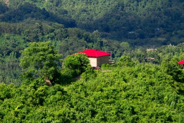 Yuvarlanan tepelerin yemyeşil kucaklamasının ortasında, bu büyüleyici kırmızı kulübe dinginliğin ve zamansız güzelliğin bir resmi olarak duruyor. Canlı kırmızı duvarları, rahatlatıcı yeşilliğe karşı çarpıcı bir tezat oluşturuyor, sıcaklık ve huzur hissi uyandırıyor.