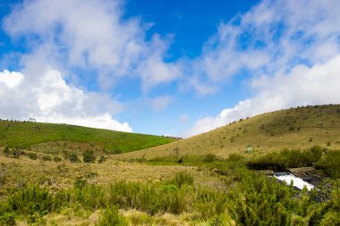 Ünlü Worlds End 'den sakin orman yollarına kadar Horton Plains büyüleyici manzaraları gözler önüne seriyor. Panoramik manzarası, vahşi yaşam ve sisli ufukları doğaya mükemmel bir kaçış sunuyor..