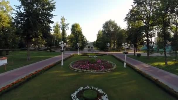 화창한 아침 공원 — 비디오