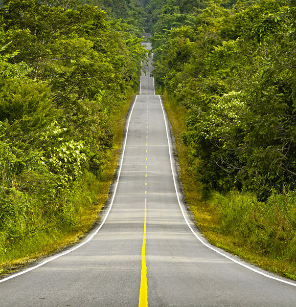 Длинный аксовый лес
