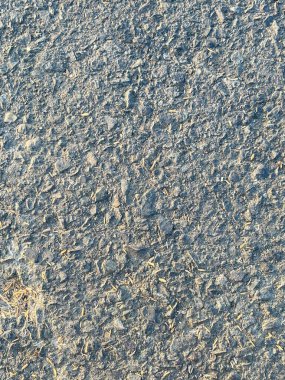 Küçük taşlarla pürüzlü asfalt yol dokusu yüzeyi ve doğal güneş ışığı altında dağınık kuru kabuklar endüstriyel ya da inşaat tasarımı projeleri için kumlu gri bir zemin oluşturuyor.