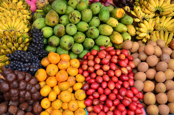 tropical variety fruits