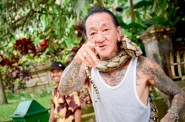 Bali dili adam ve yılan gösterisi
