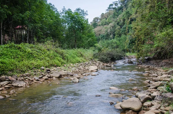 Nature du fleuve et de la forêt Images De Stock Libres De Droits