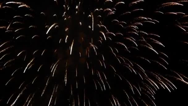 Exposition de feux d'artifice au 4 juillet — Video