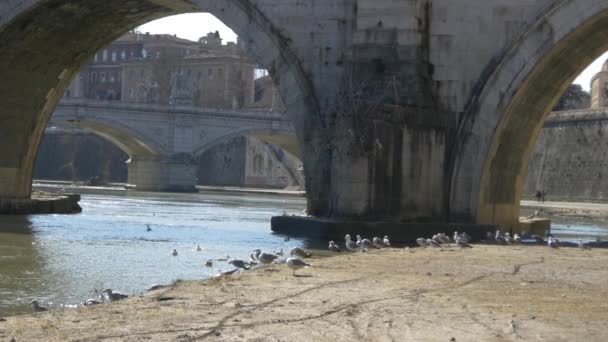 Tiberiusbrücke über den Tiber — Stockvideo