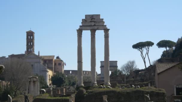 Antické ruiny římské fórum — Stock video