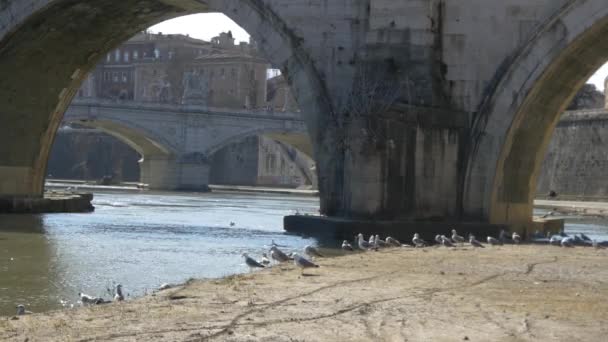 Tiberiusbrücke über den Tiber — Stockvideo