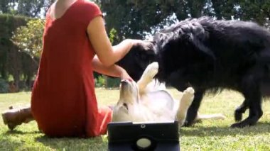  köpeklerle oynayan kadın