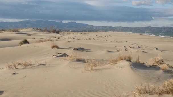 Burza piaskowa w pustyni Afryki krajobraz — Wideo stockowe