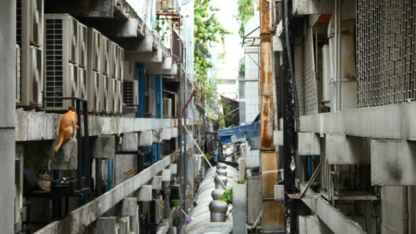 Pauvres bâtiments ghetto de la ville en Asie — Video