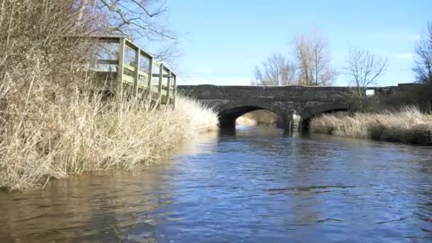 Floden resa på båten över lugna vatten — Stockvideo