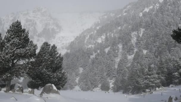 Chute de neige dans un parc d'hiver 
