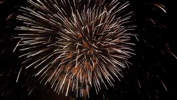 Spettacolo di fuochi d'artificio al 4 luglio — Video Stock