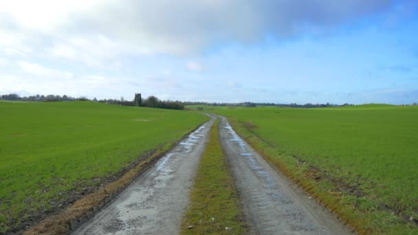 Countryside road in field — Stock Video