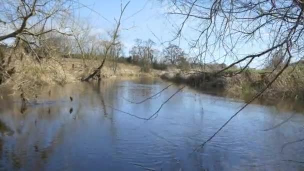 Річкова подорож на човні через спокійну воду — стокове відео