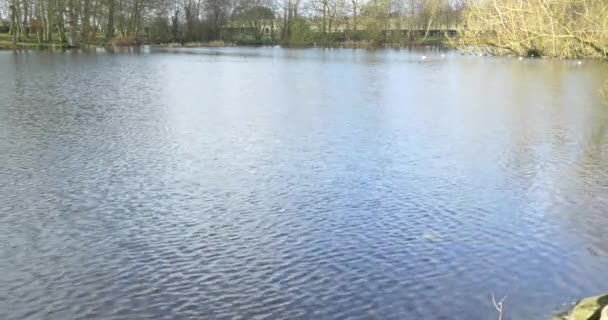 hiver lac vue nature 