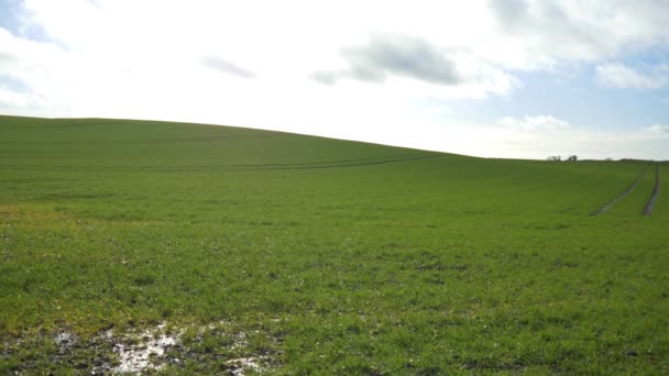 Campo verde con cielo azul y nubes — Vídeos de Stock