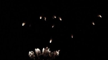 4 Temmuz havai fişek 