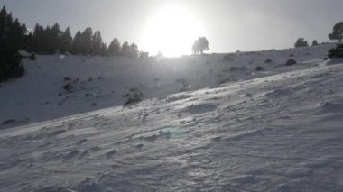 bir kış parkta yağan kar