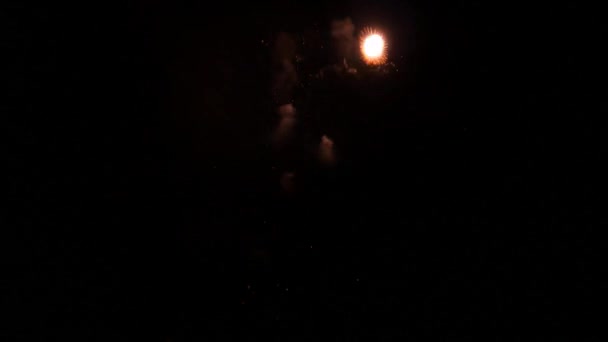 Feuerwerk am 4. Juli — Stockvideo