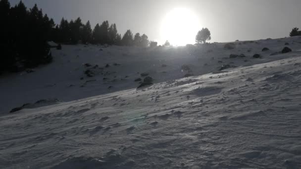 Schneefall in einem Winterpark — Stockvideo