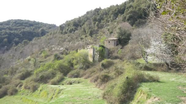 Paisaje de montaña con valle verde — Vídeo de stock