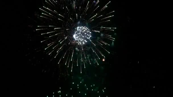 Exibição de fogos de artifício em 4 de julho — Vídeo de Stock