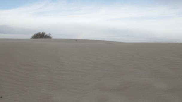 Tempête de sable dans le désert du paysage africain 