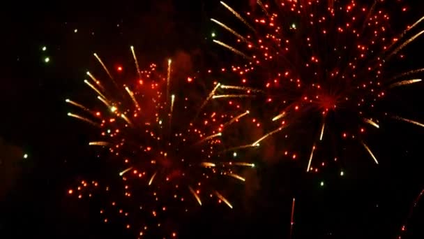 A július 4 tűzijáték — Stock videók