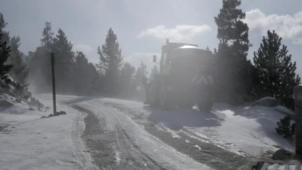 Padající sníh ve Winter parku — Stock video