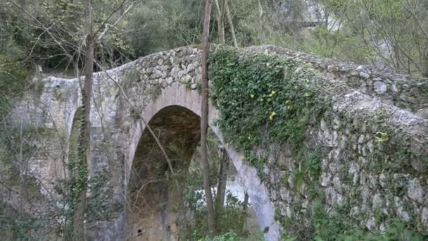 Ponte de pedra velha no parque nacional — Vídeo de Stock