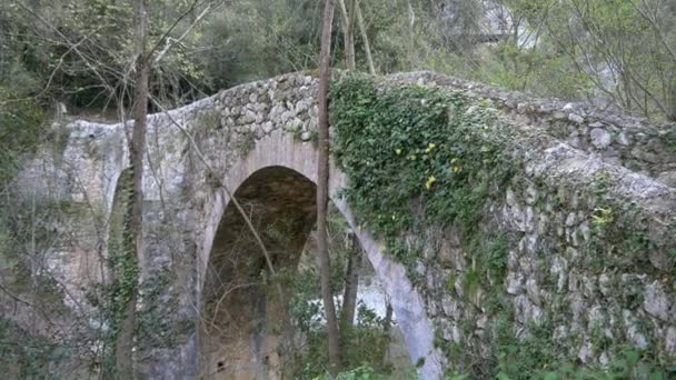 Old stone bridge in national park — Stock Video