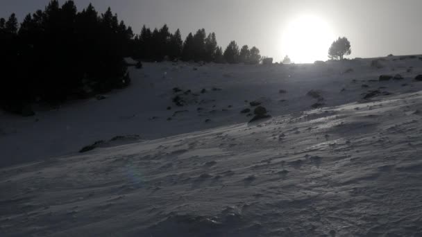 Падіння снігу в зимовий парк — стокове відео