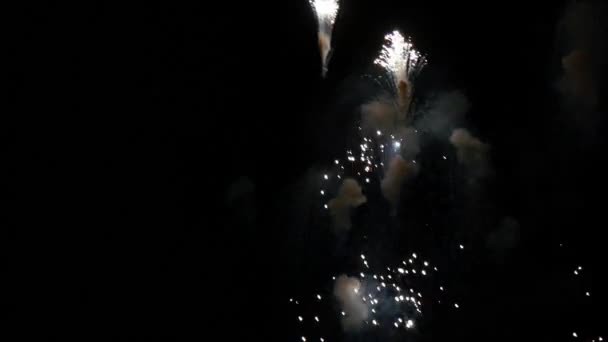 Spettacolo di fuochi d'artificio al 4 luglio — Video Stock