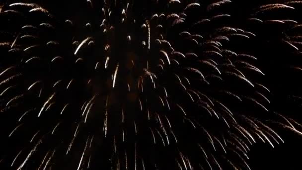 Fireworks display at 4th of July — Stock Video