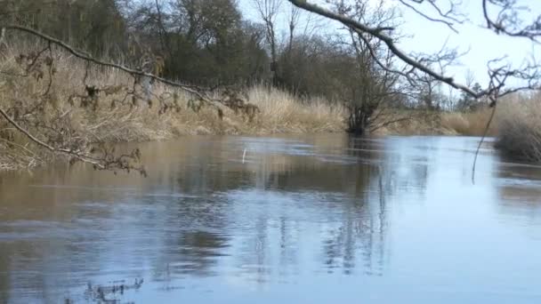 Річкова подорож на човні через спокійну воду — стокове відео