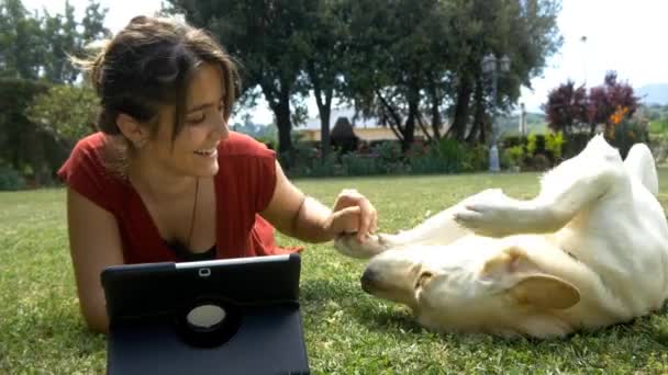 Mujer jugando con perro — Vídeos de Stock