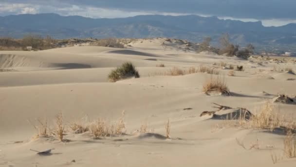 Tormenta de arena en el desierto del paisaje africano — Vídeos de Stock