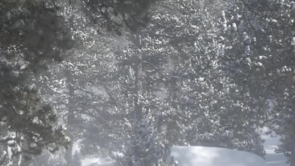 Chute de neige dans un parc d'hiver 