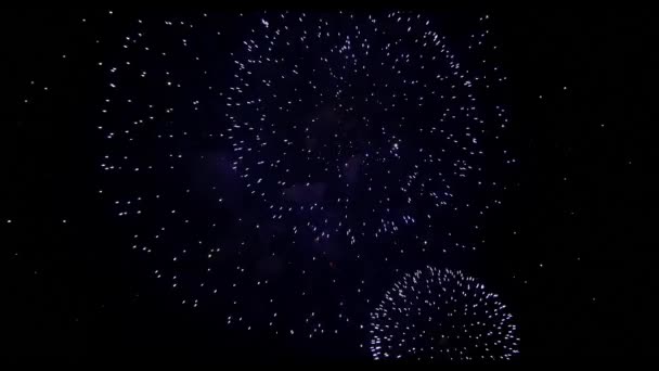 Spettacolo di fuochi d'artificio al 4 luglio — Video Stock