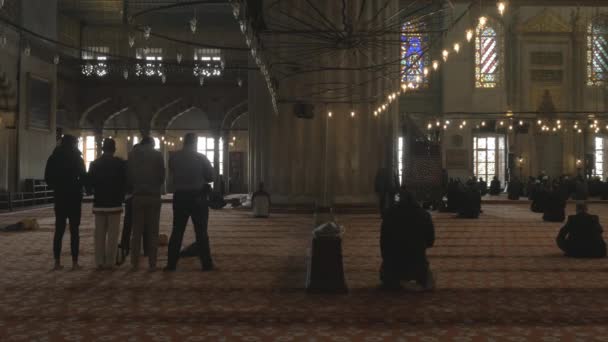 People praying in the blue mosque — Stock Video