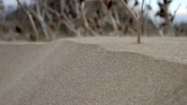 Tormenta de arena en el desierto del paisaje africano — Vídeos de Stock