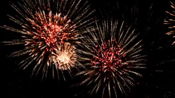 Spettacolo di fuochi d'artificio al 4 luglio — Video Stock