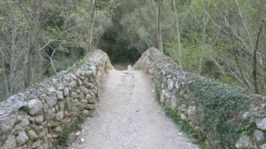 milli park içinde eski taş köprü