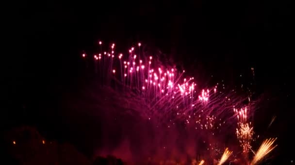 Exposition de feux d'artifice au 4 juillet  