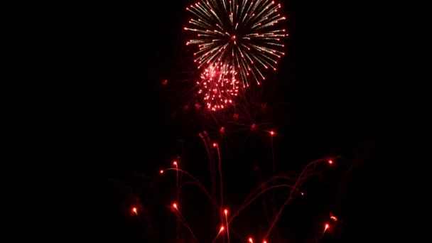 Fireworks display at 4th of July — Stock Video