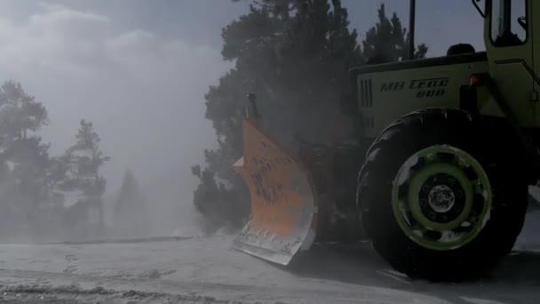 Schneepflug im Winterpark — Stockvideo